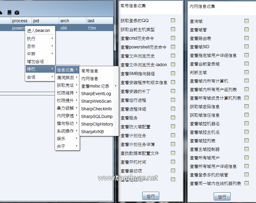 CS插件+GUI程序巨龙拉东Ladon9.1.5